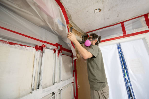 Best Forensic Mold Investigation  in Hood River, OR