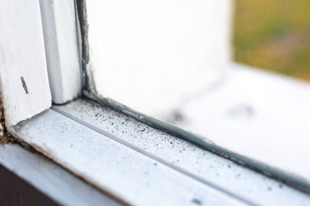 Mold Remediation for Rental Properties in Hood River, OR