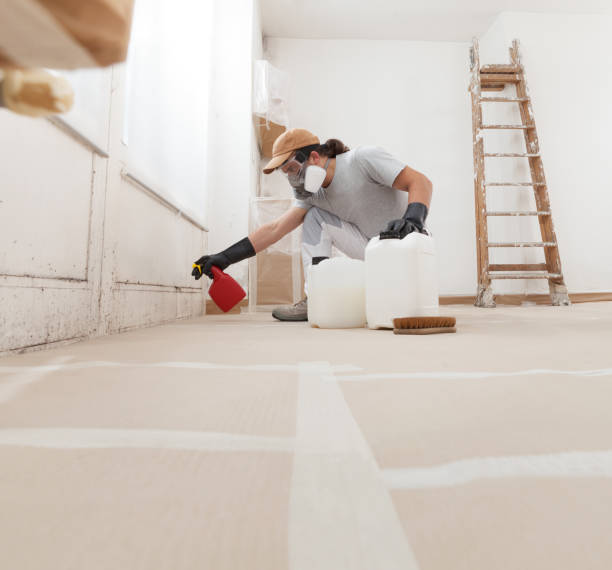Best Crawl Space Mold Remediation  in Hood River, OR