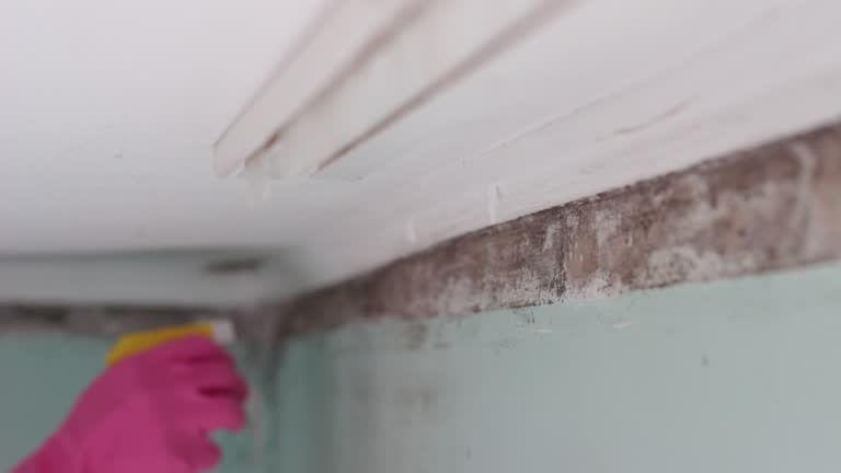 Best HVAC Mold Inspection and Cleaning  in Hood River, OR